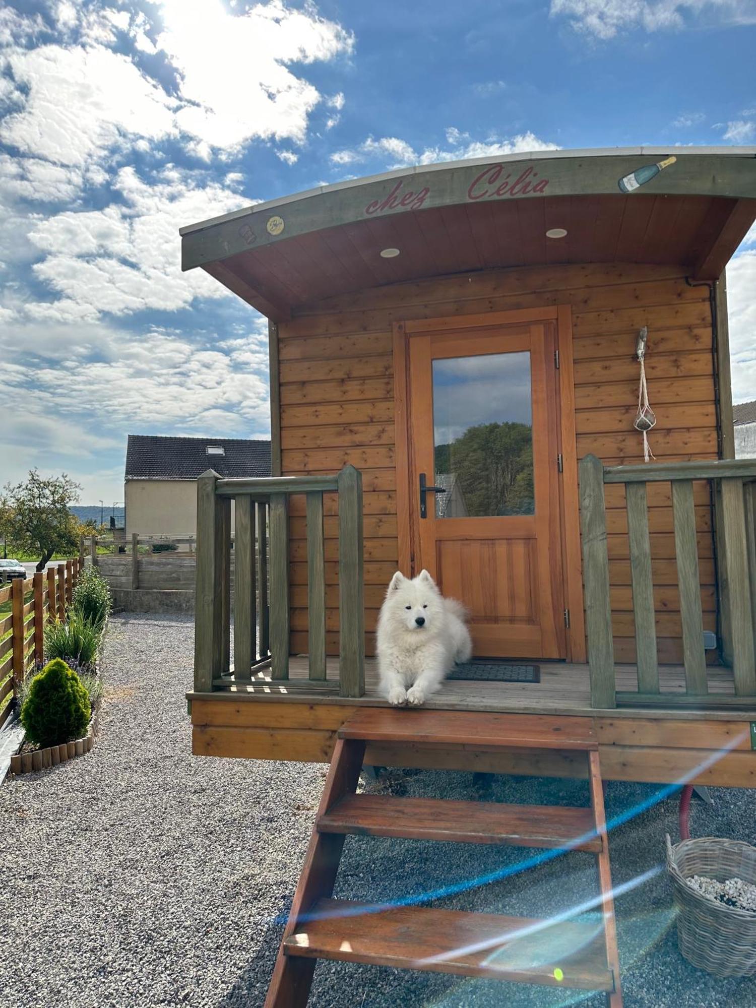 Вилла Chez Celia, Roulotte En Champagne Fleury-la-Riviere Экстерьер фото