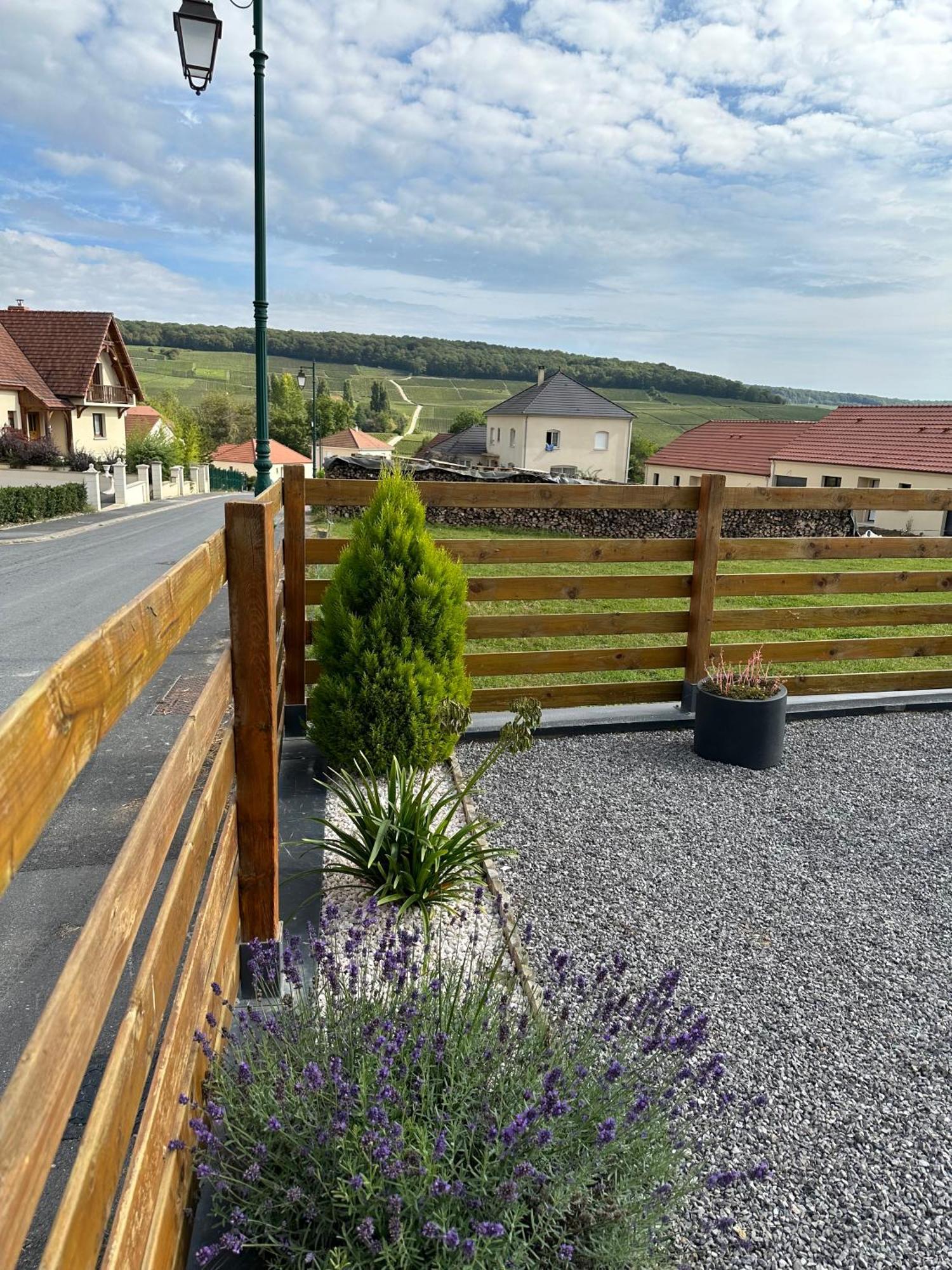 Вилла Chez Celia, Roulotte En Champagne Fleury-la-Riviere Экстерьер фото